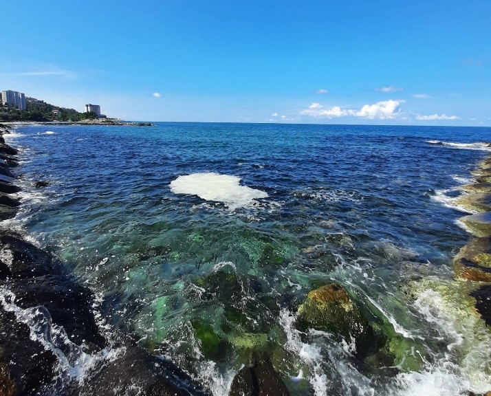 Alipaşa Plajı - Fotoğraf 7