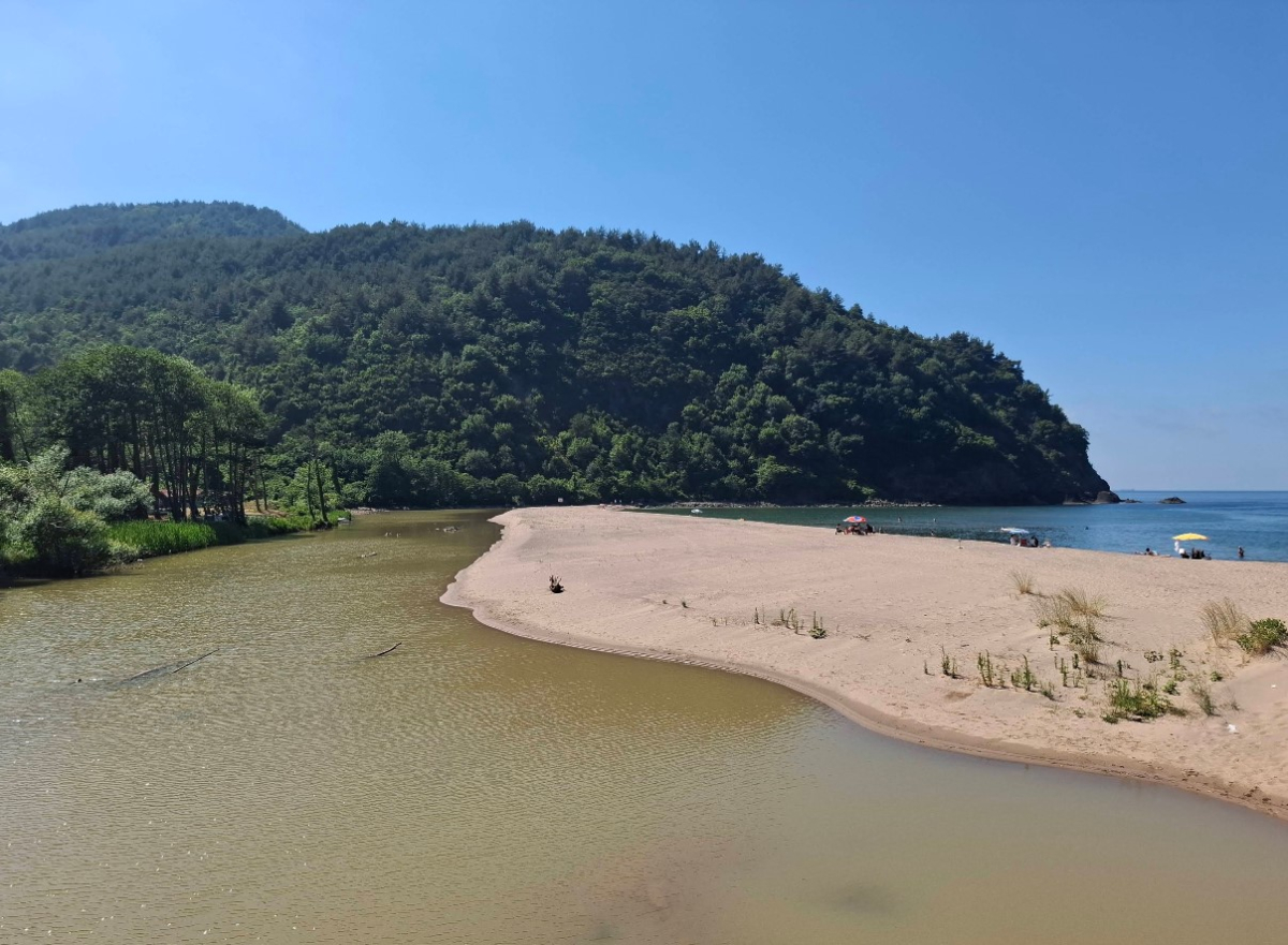 Amasra Göçkün (Göçkündemirci) Plajı - Fotoğraf 5