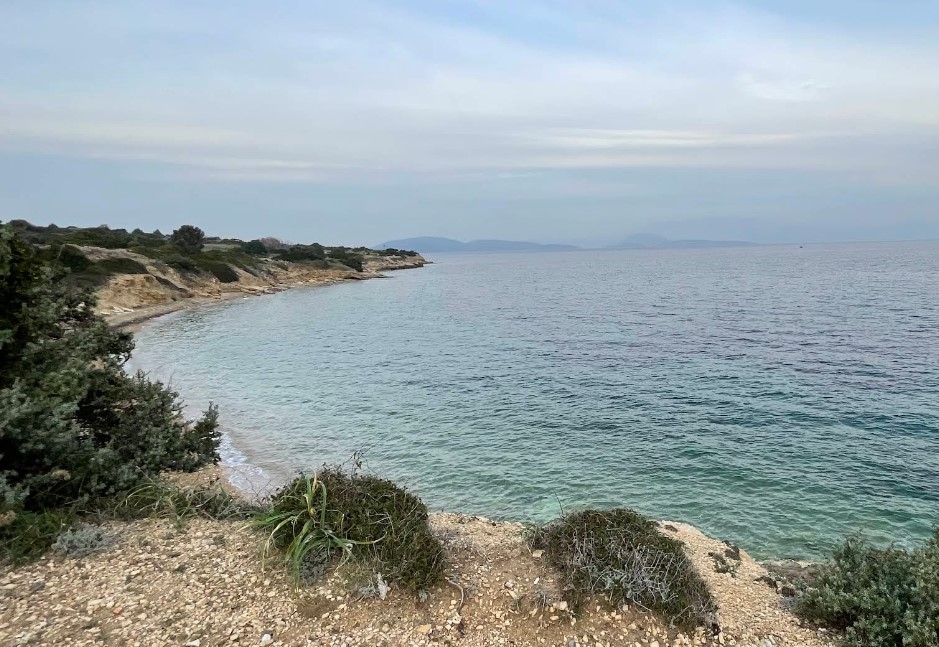 Dalyan Plajı - Fotoğraf 6