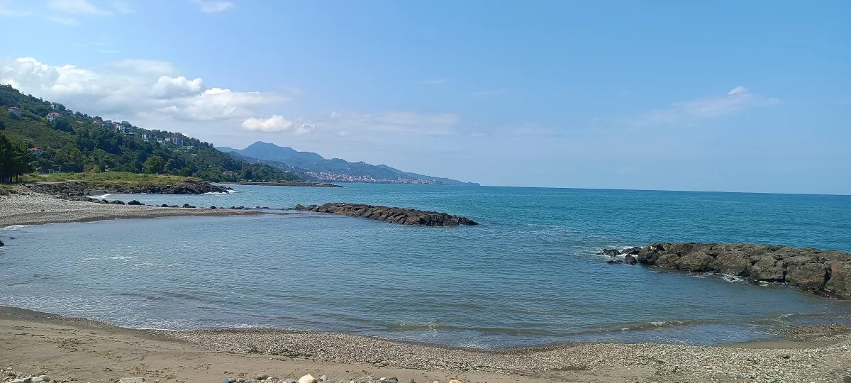 Görele Çavuşlu Çamlık Plajı - Fotoğraf 2