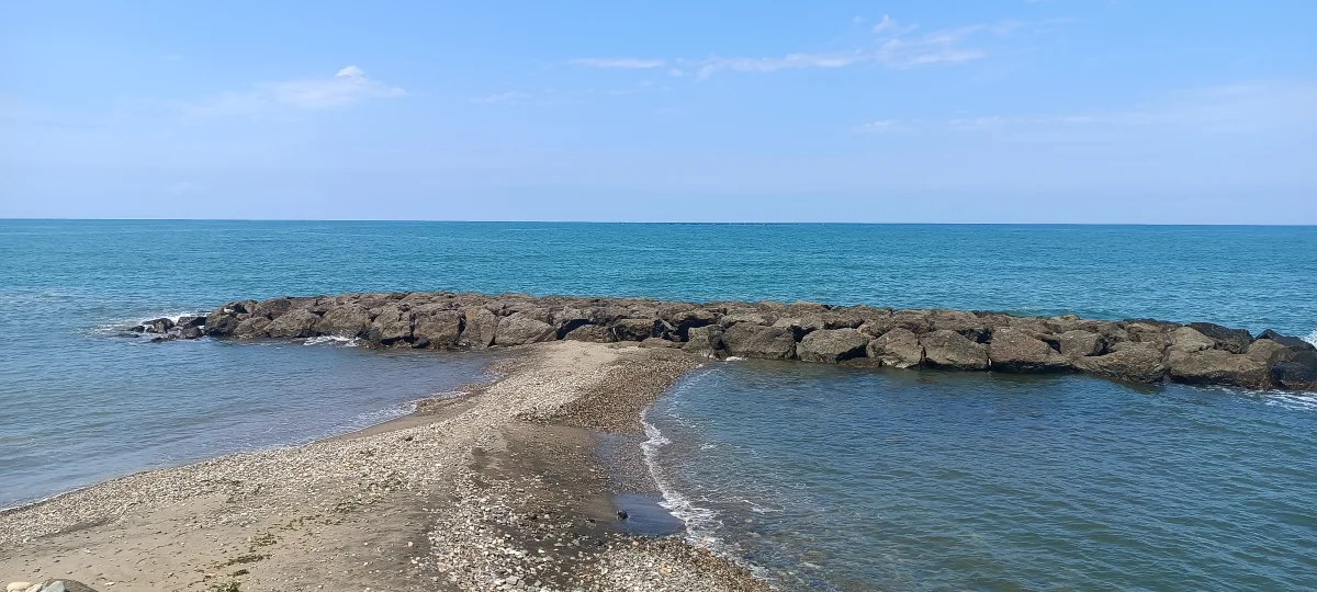 Görele Çavuşlu Çamlık Plajı - Fotoğraf 4