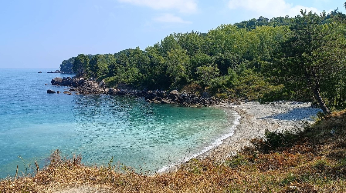 Kurucaşile Yardibi Plajı