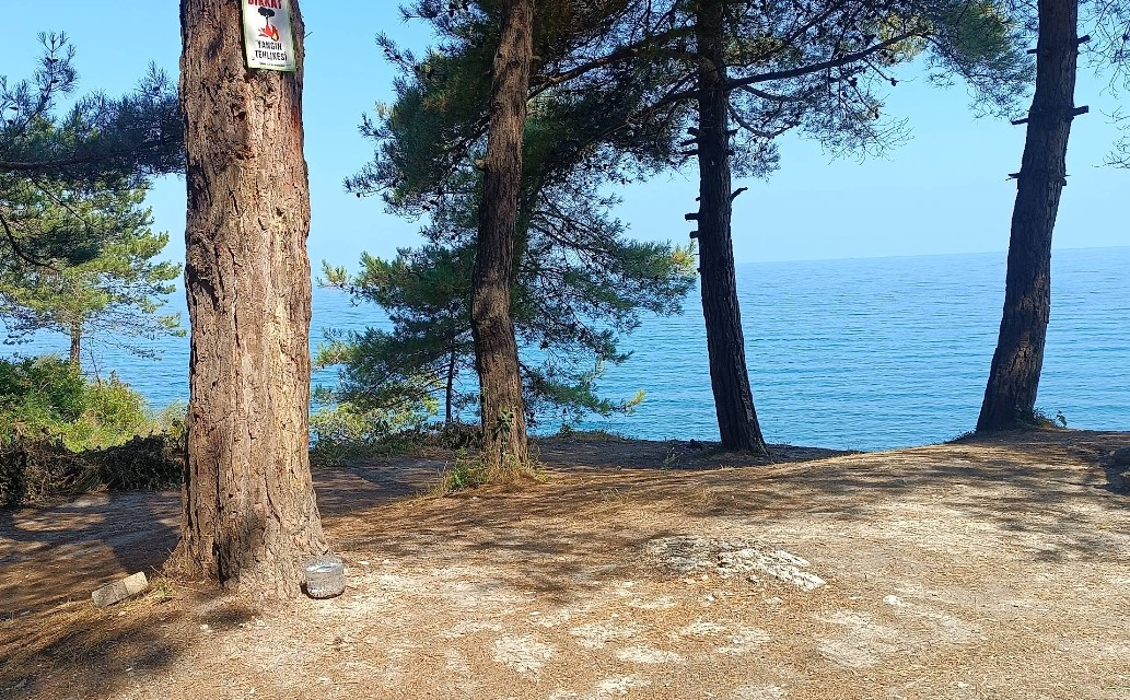 Kurucaşile Yardibi Plajı - Fotoğraf 4