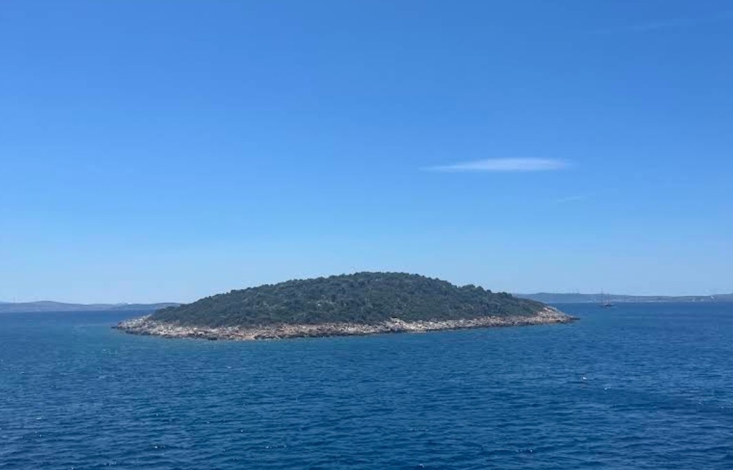 Mavi Koy - Fotoğraf 4