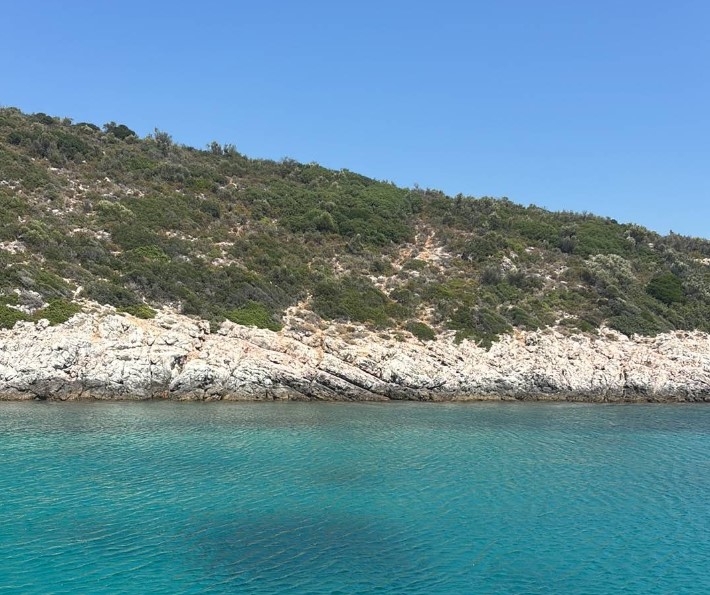 Mavi Koy - Fotoğraf 5