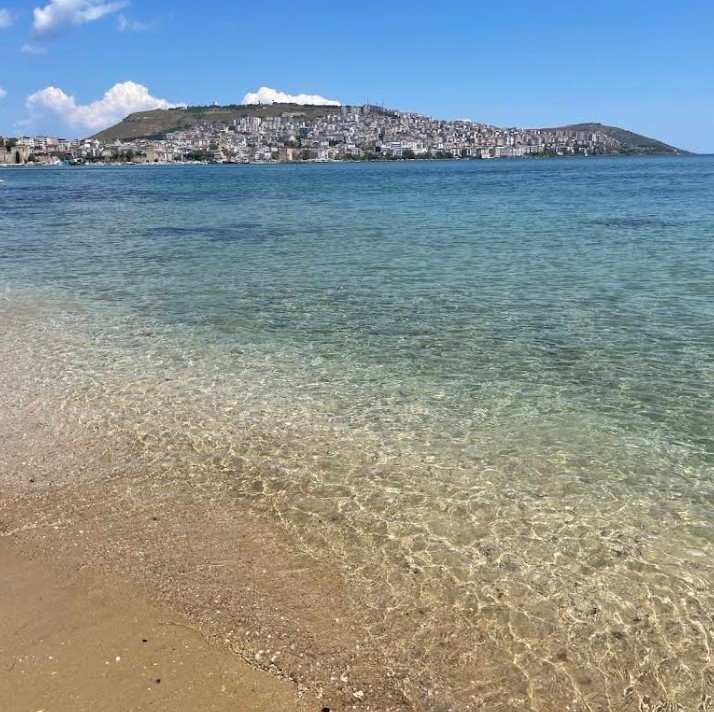 Sinop Orman İşletme Kampı Plajı - Fotoğraf 2