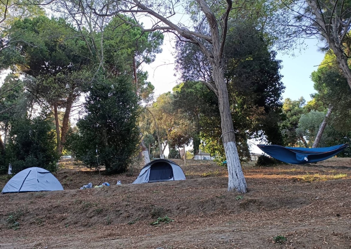 Sinop Orman İşletme Kampı Plajı - Fotoğraf 3