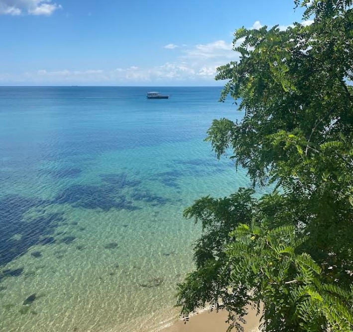 Sinop Orman İşletme Kampı Plajı - Fotoğraf 4