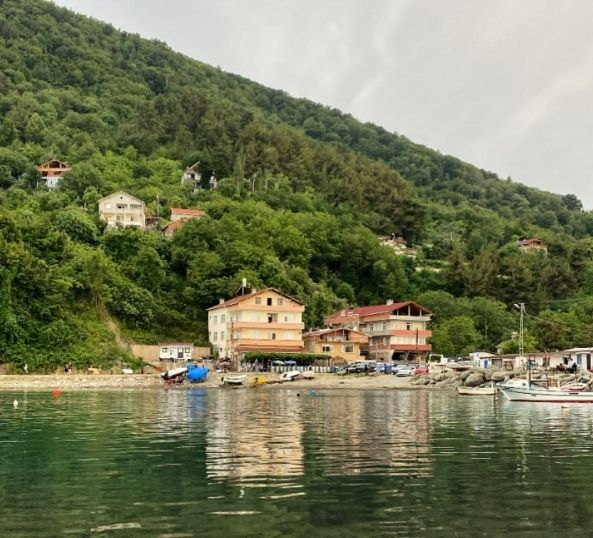 Ayancık Köyü Liman Plajı